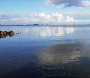 image_6483441